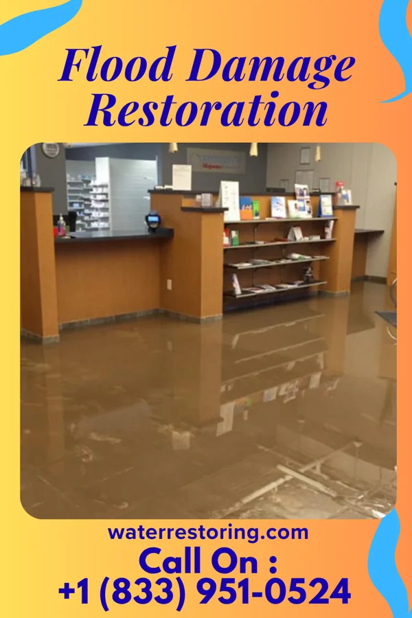 Flood Damage Restoration in Lopezville, TX