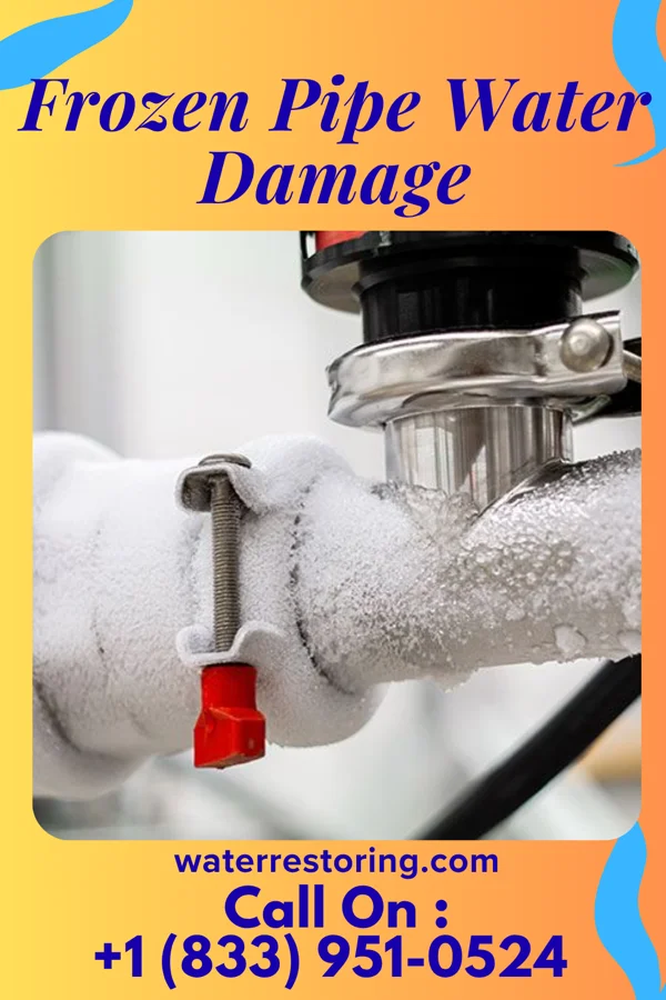 Frozen Pipe Water Damage in Lopezville, TX