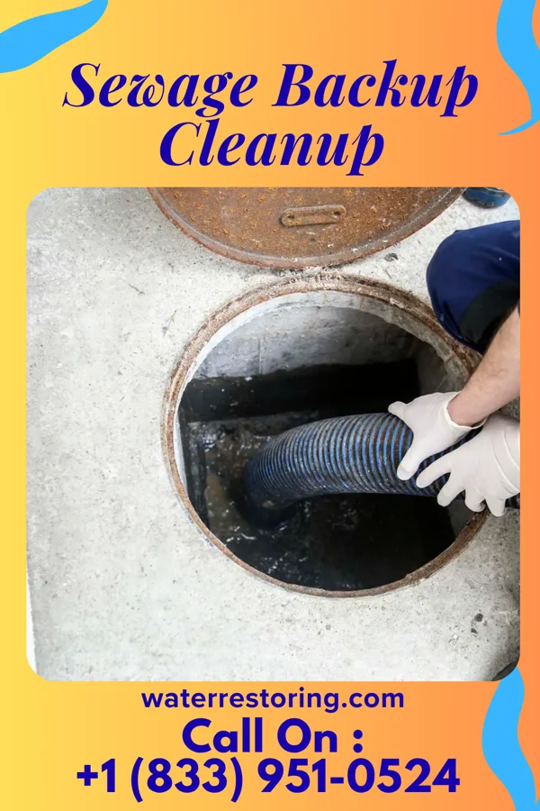 Sewage Backup Cleanup in Lopezville, TX